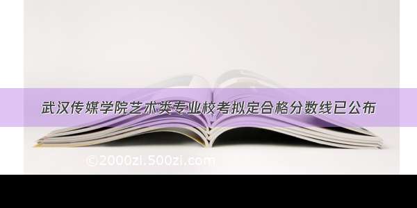 武汉传媒学院艺术类专业校考拟定合格分数线已公布