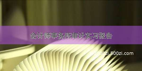 会计师事务所审计实习报告