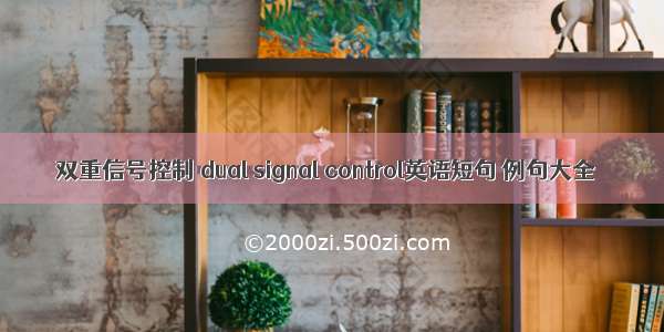 双重信号控制 dual signal control英语短句 例句大全