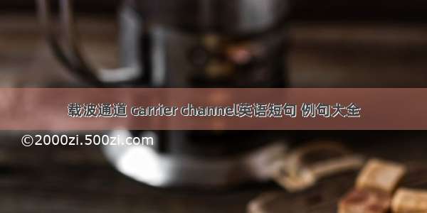 载波通道 carrier channel英语短句 例句大全