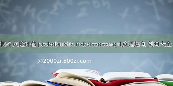 概率风险评估 probabilistic risk assessment英语短句 例句大全