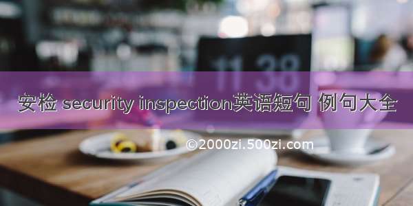 安检 security inspection英语短句 例句大全