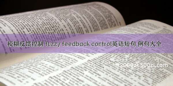 模糊反馈控制 fuzzy feedback control英语短句 例句大全