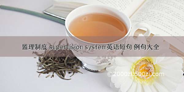 监理制度 supervision system英语短句 例句大全