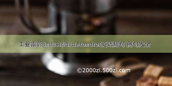 工业雷管 industrial detonator英语短句 例句大全