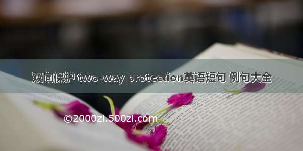 双向保护 two-way protection英语短句 例句大全