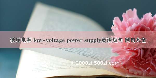 低压电源 low-voltage power supply英语短句 例句大全