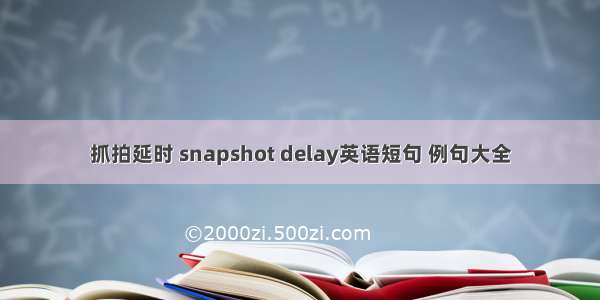 抓拍延时 snapshot delay英语短句 例句大全