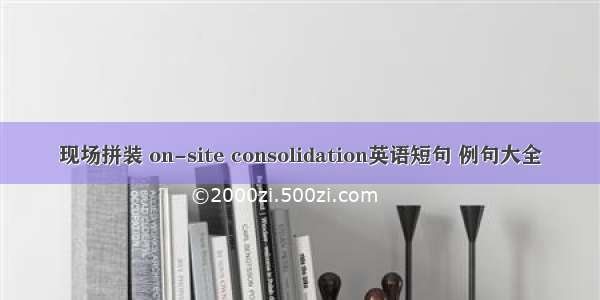 现场拼装 on-site consolidation英语短句 例句大全