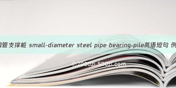 小口径钢管支撑桩 small-diameter steel pipe bearing pile英语短句 例句大全