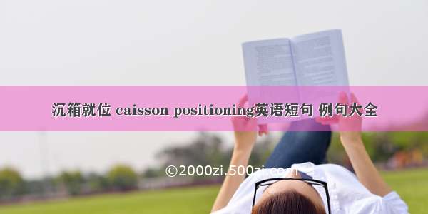 沉箱就位 caisson positioning英语短句 例句大全