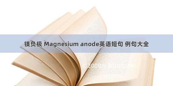 镁负极 Magnesium anode英语短句 例句大全