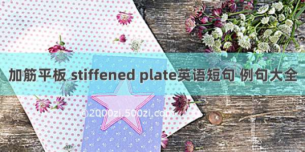 加筋平板 stiffened plate英语短句 例句大全