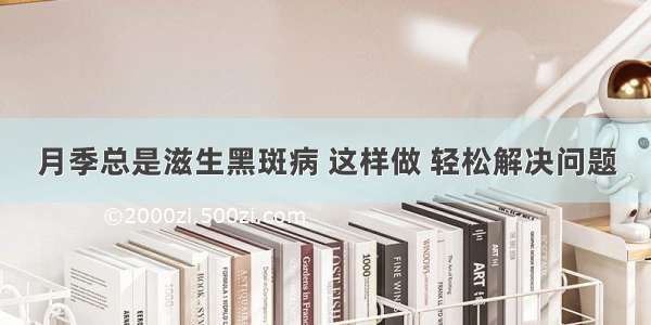 月季总是滋生黑斑病 这样做 轻松解决问题