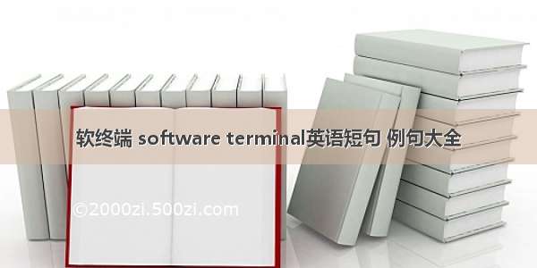 软终端 software terminal英语短句 例句大全