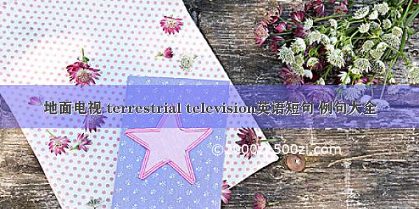 地面电视 terrestrial television英语短句 例句大全