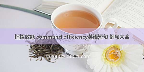 指挥效能 command efficiency英语短句 例句大全