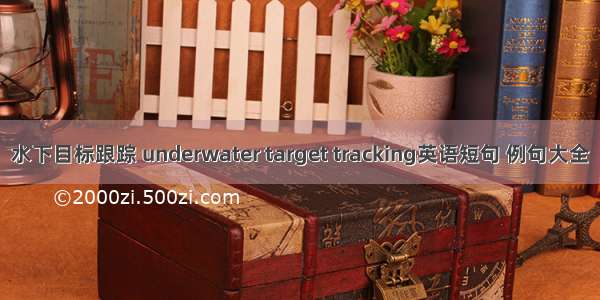 水下目标跟踪 underwater target tracking英语短句 例句大全