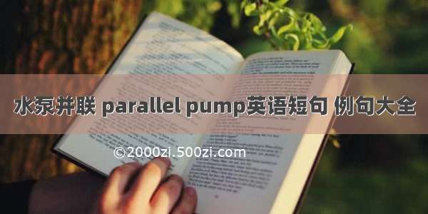 水泵并联 parallel pump英语短句 例句大全