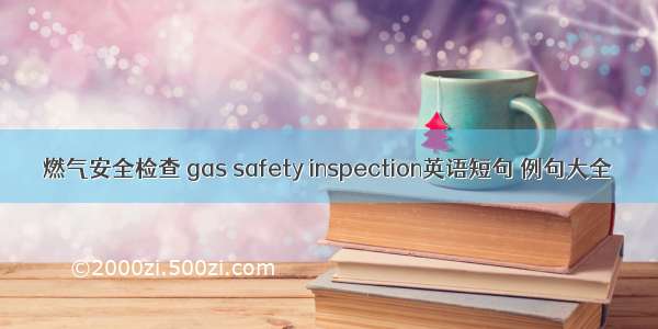 燃气安全检查 gas safety inspection英语短句 例句大全