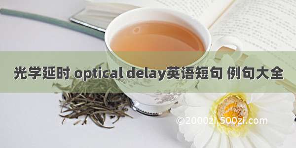 光学延时 optical delay英语短句 例句大全