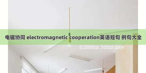 电磁协同 electromagnetic cooperation英语短句 例句大全