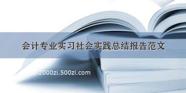 会计专业实习社会实践总结报告范文