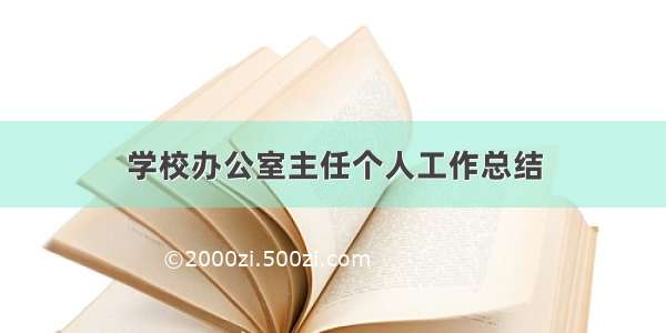 学校办公室主任个人工作总结