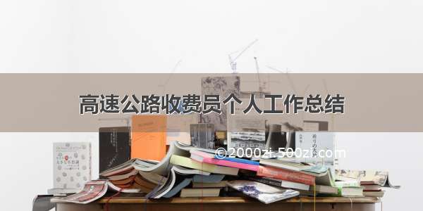 高速公路收费员个人工作总结