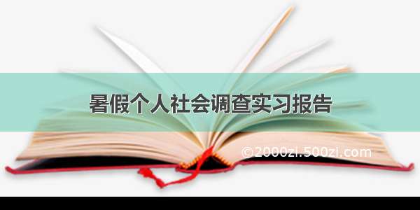 暑假个人社会调查实习报告