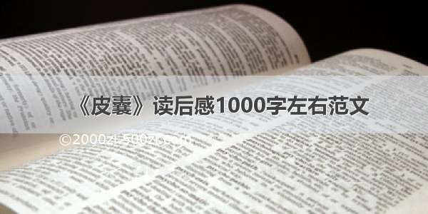 《皮囊》读后感1000字左右范文