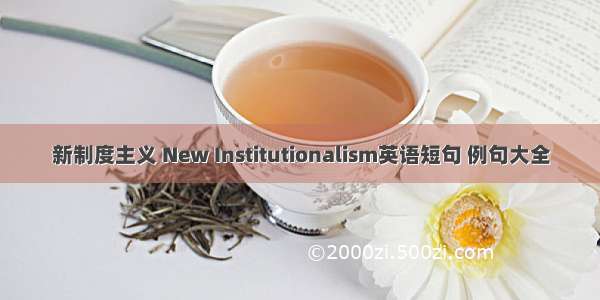 新制度主义 New Institutionalism英语短句 例句大全