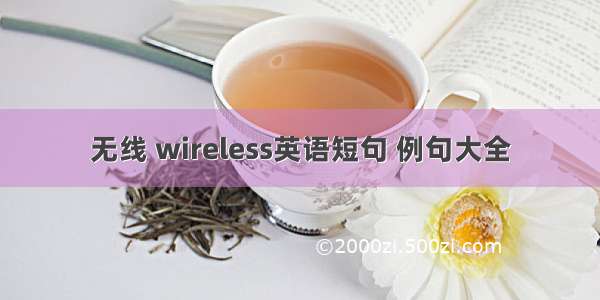 无线 wireless英语短句 例句大全