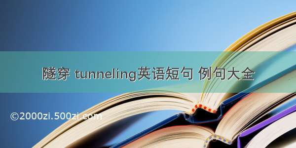 隧穿 tunneling英语短句 例句大全