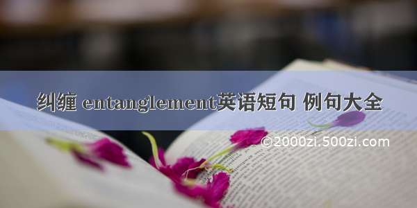 纠缠 entanglement英语短句 例句大全