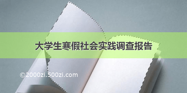 大学生寒假社会实践调查报告