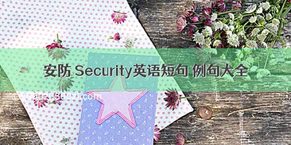 安防 Security英语短句 例句大全