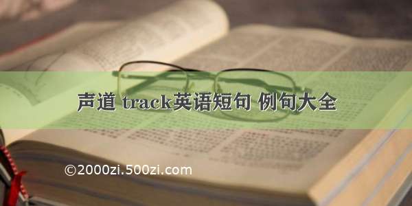 声道 track英语短句 例句大全