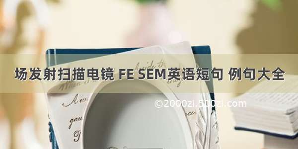 场发射扫描电镜 FE SEM英语短句 例句大全