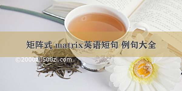 矩阵式 matrix英语短句 例句大全