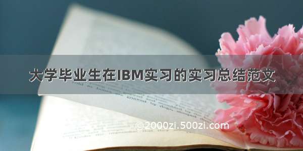 大学毕业生在IBM实习的实习总结范文