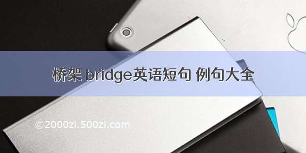 桥架 bridge英语短句 例句大全