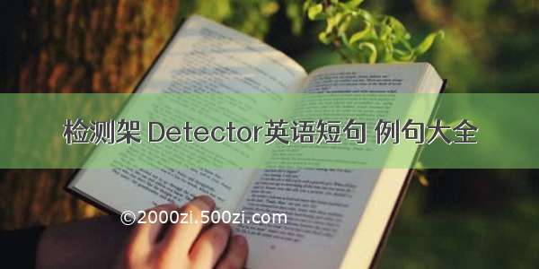 检测架 Detector英语短句 例句大全