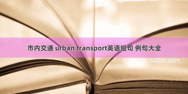 市内交通 urban transport英语短句 例句大全