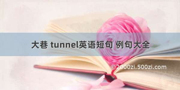 大巷 tunnel英语短句 例句大全