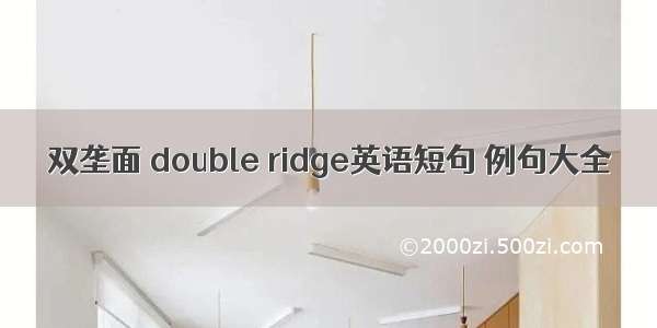 双垄面 double ridge英语短句 例句大全