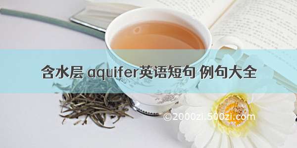 含水层 aquifer英语短句 例句大全