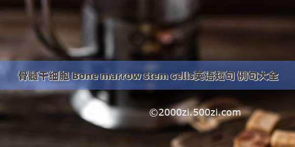 骨髓干细胞 Bone marrow stem cells英语短句 例句大全