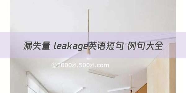 漏失量 leakage英语短句 例句大全