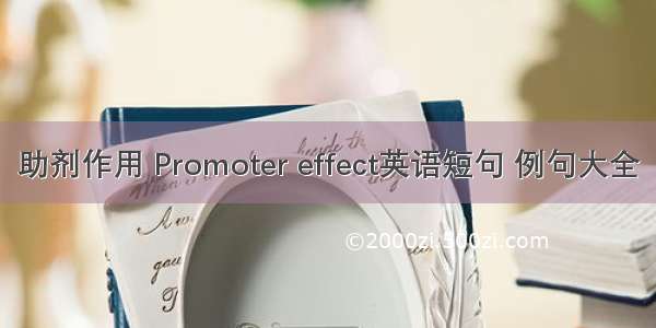 助剂作用 Promoter effect英语短句 例句大全